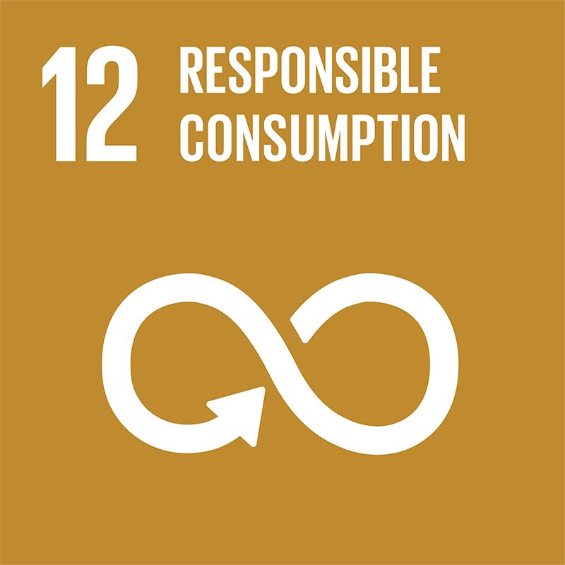SDG 12: Responsible Consumption and Production